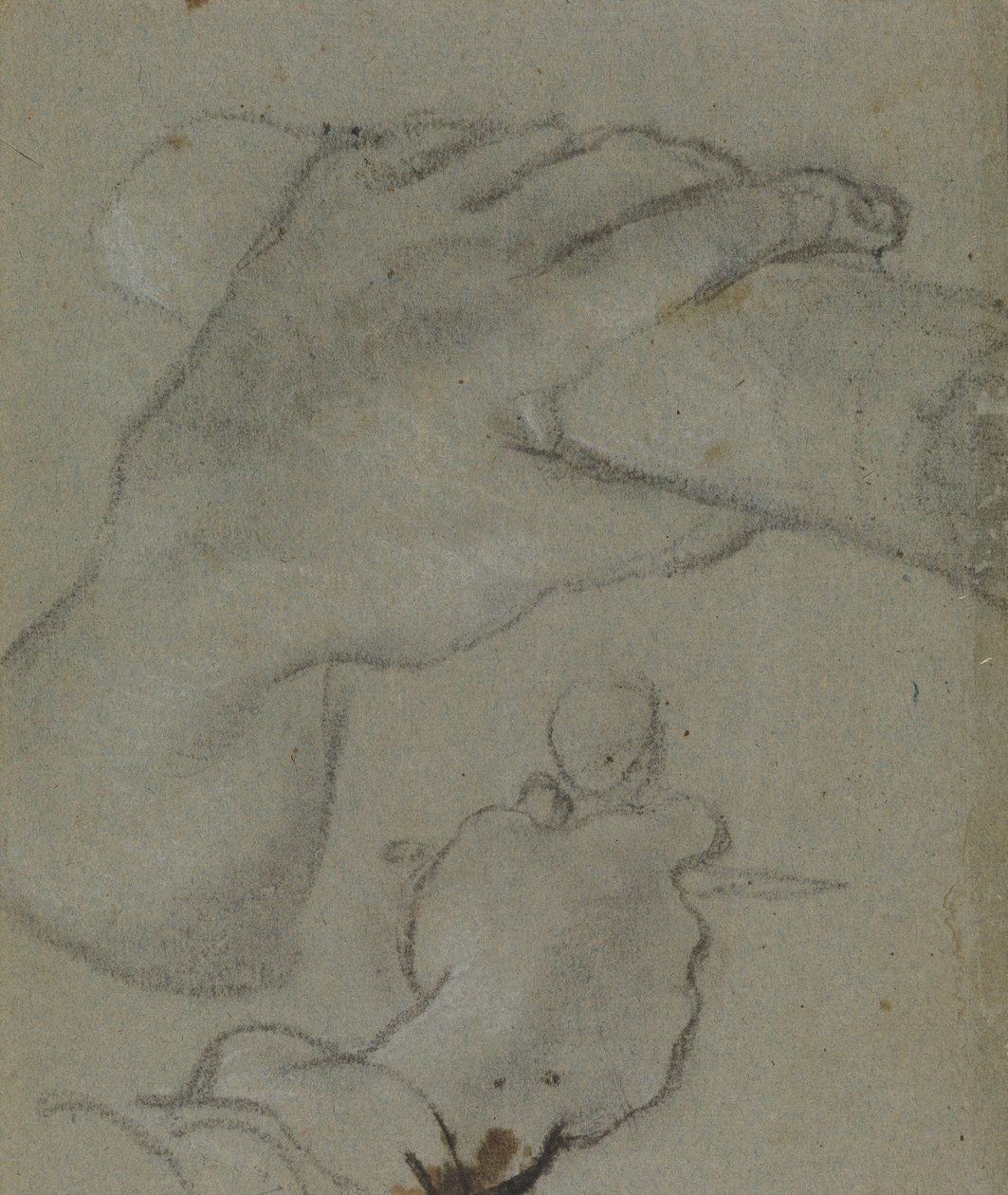 カラッチ-聖ヨハネの手のための習作、RCIN 902115 作： Annibale Carracci