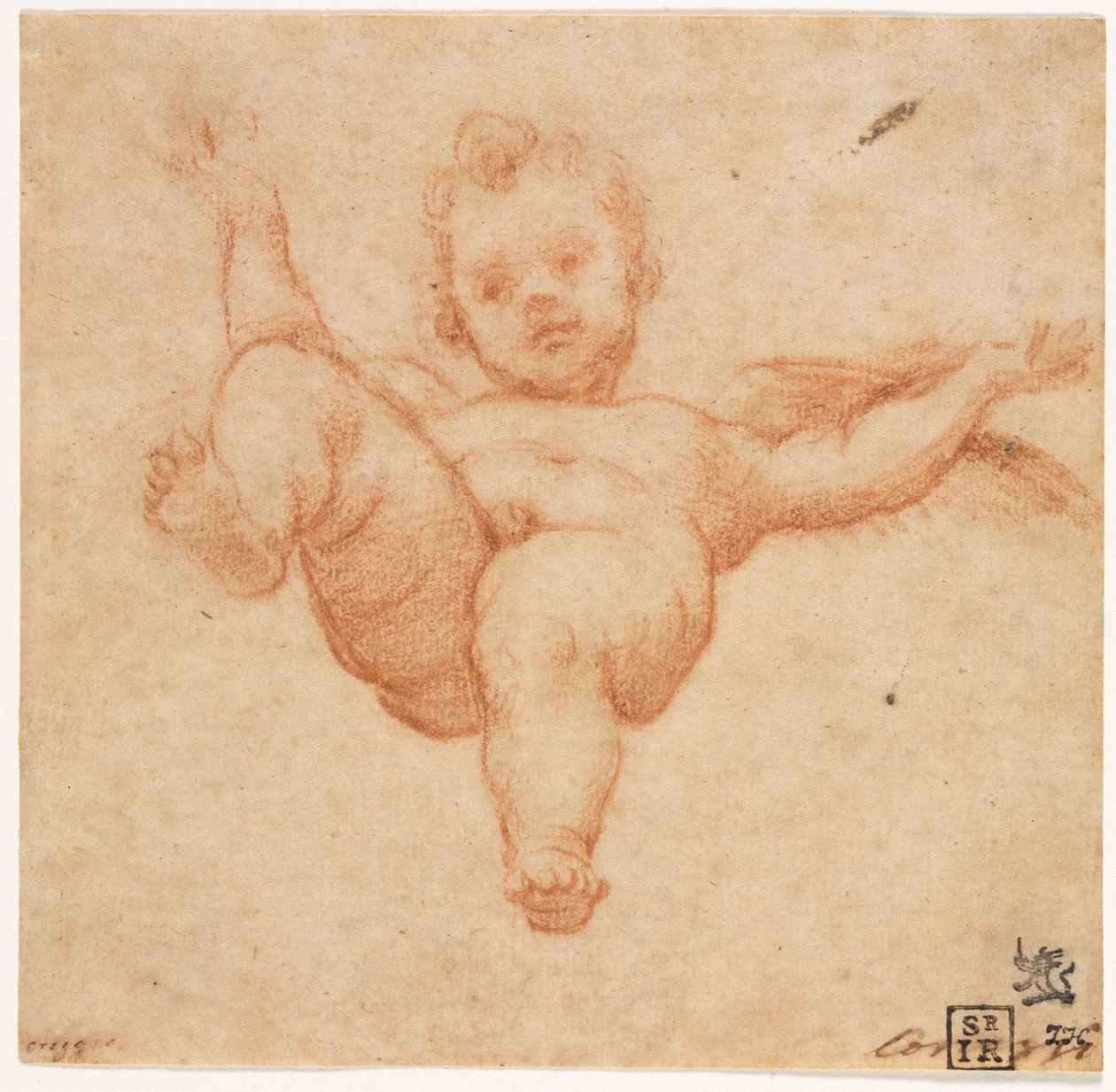 Fliegender Amor 作： Annibale Carracci