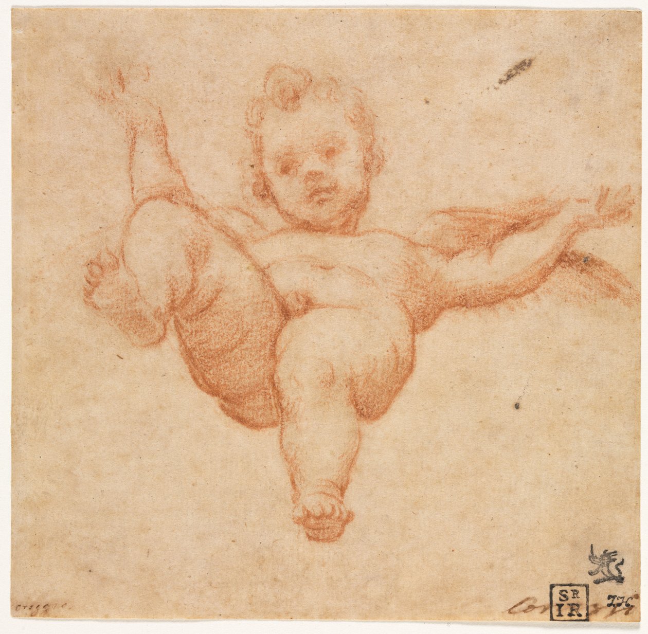 フライングキューピッド、c。 1602。 作： Annibale Carracci