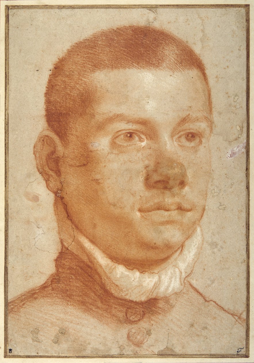 若い男性の肖像画（赤チョークで描かれた頭部 作： Annibale Carracci