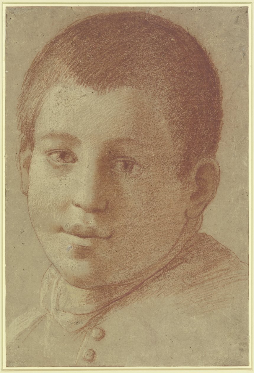 少年の肖像 作： Annibale Carracci