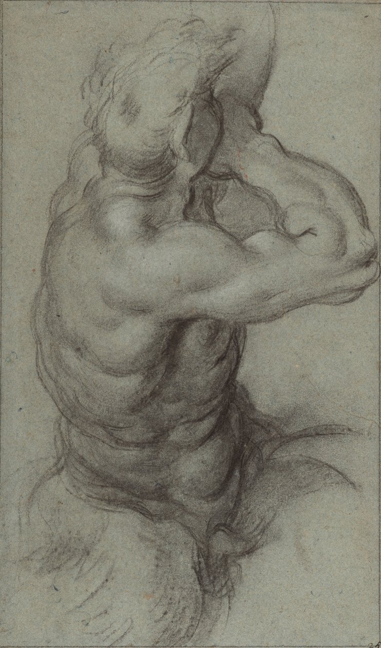 法螺貝を吹くトリトンの習作（表面）。腕の部分習作（裏面） 作： Annibale Carracci