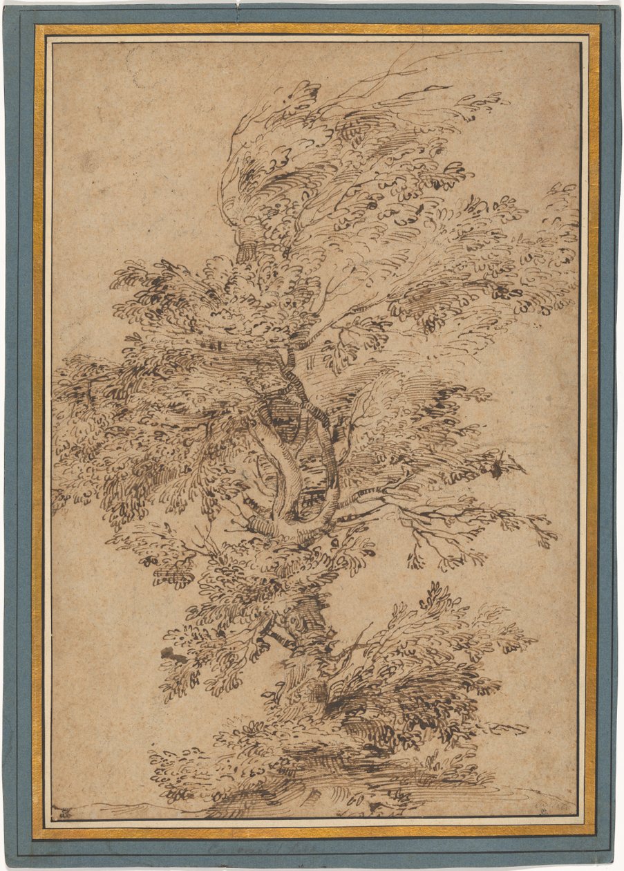 Studie eines Baumes 作： Annibale Carracci