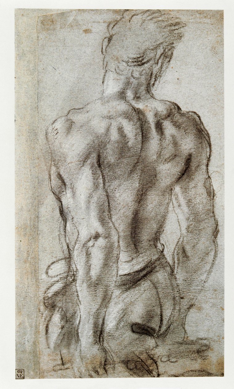 男性像の研究... 作： Annibale Carracci