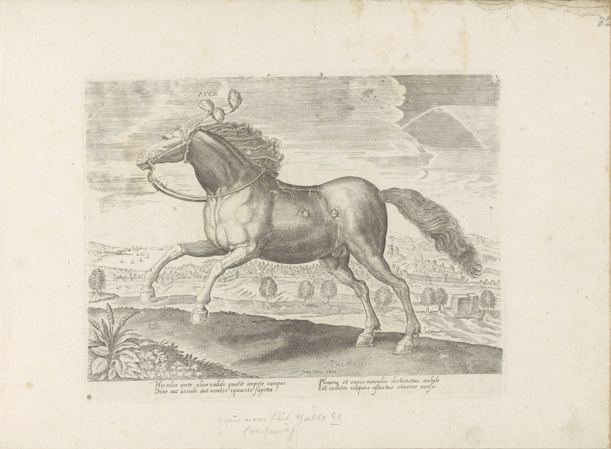 アラビッシュパールド 持ってくる（オブジェクトのタイトル） Paardenrassen uit de Koninklijke Stalen van Don Juan van Oostenrijk (シリーズ タイトル) あらゆる種類の貴族が乗った馬：世界のさまざまな地域で区別された馬の行動が選択された（...）（オブジェクトに関するシリーズタイトル） 作： 匿名