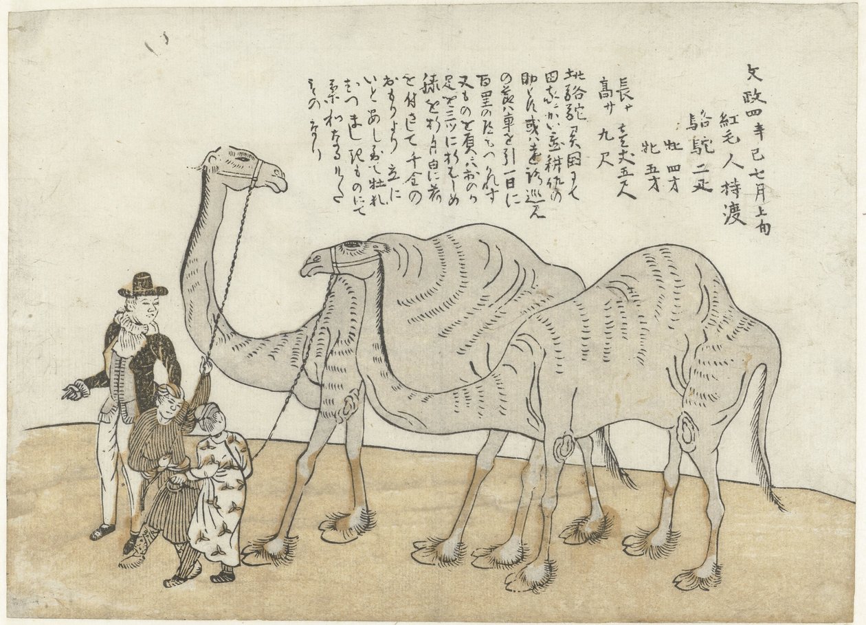 ラクダとヒトコブラクダ 作： 匿名