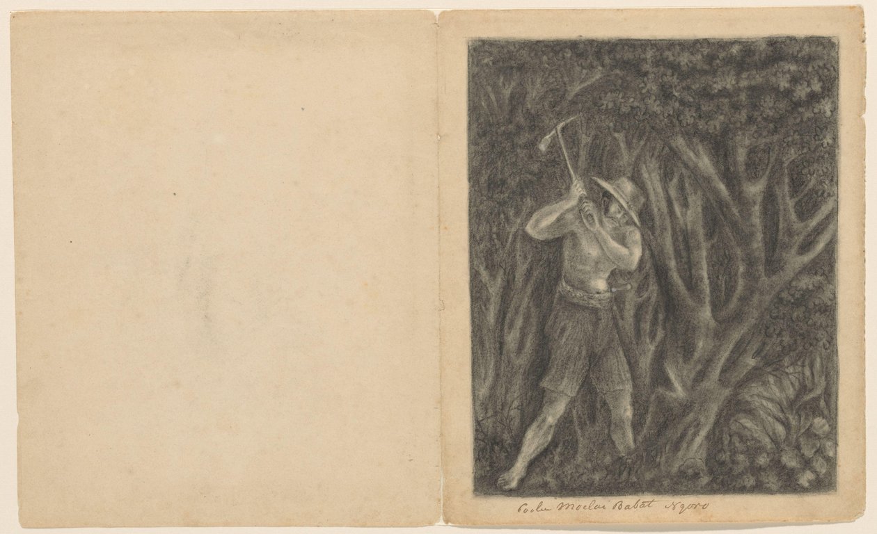 クーレンがンゴロで森林の伐採を開始、1820～1850年頃 作： 匿名