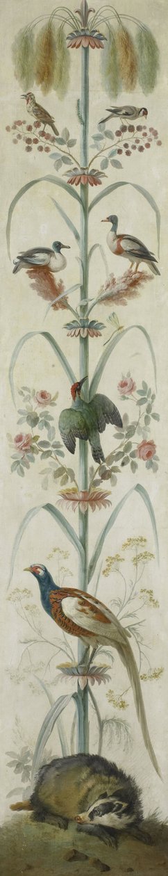 動植物の装飾画 作： 匿名