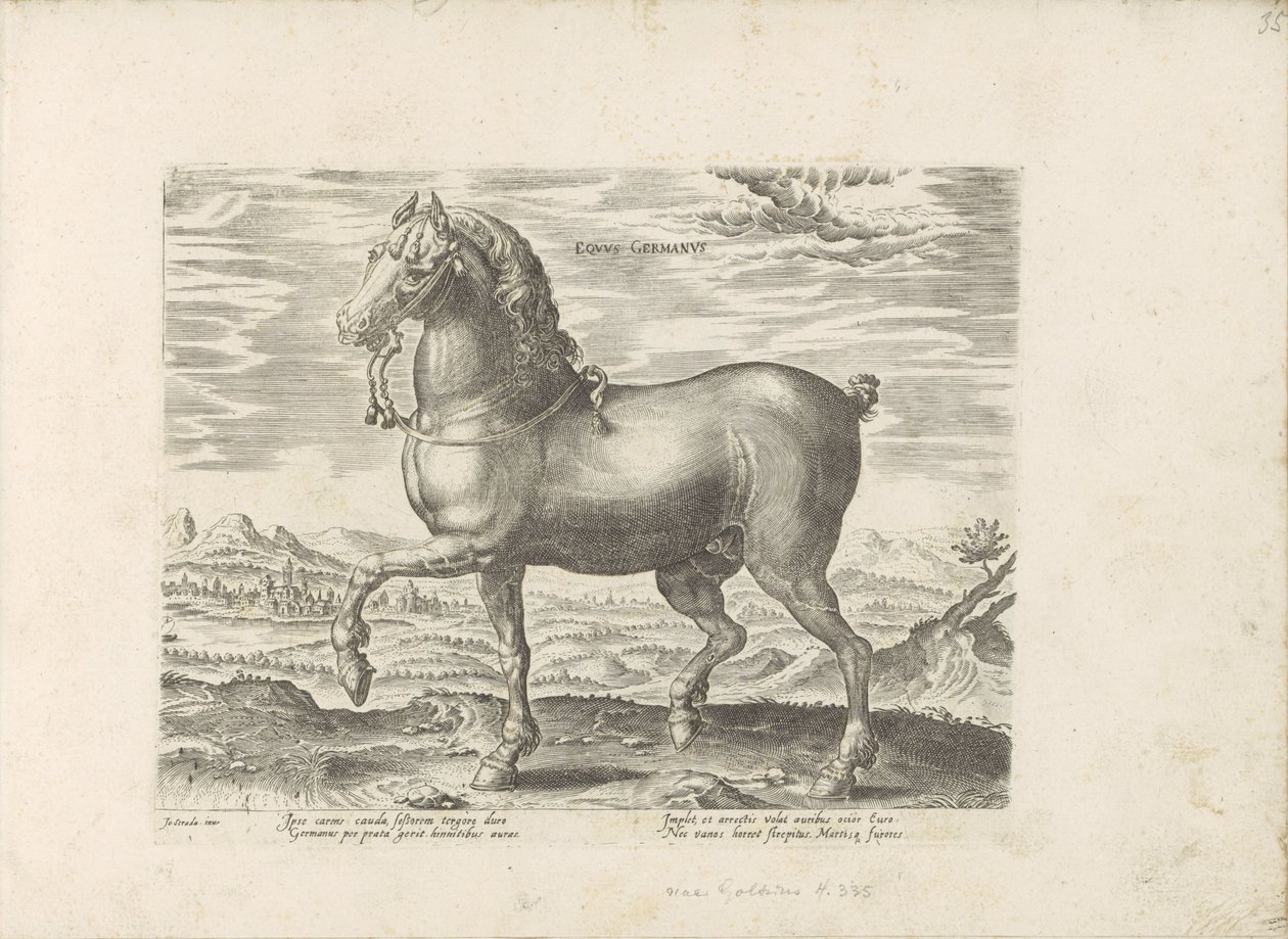 デュイット・パールド ドイツの馬 (オブジェクトのタイトル) Paardenrassen uit de Koninklijke Stalen van Don Juan van Oostenrijk (シリーズ タイトル) あらゆる種類の貴族が乗った馬：世界のさまざまな地域で区別された馬の行動が選択されました（...）（obのシリーズタイトル 作： 匿名