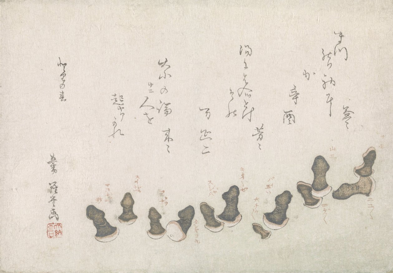 きのこのえごよみのファリ 作： 匿名
