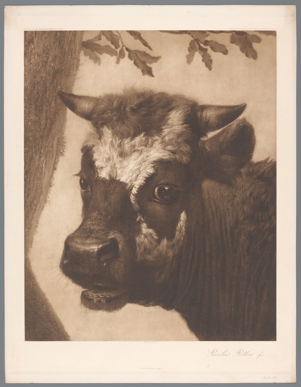 パウルス・ポッターの雄牛の絵の詳細の写真複製、coll。 マウリッツハイス 1902 - いいえ。 15. /ケーニグル。 Museum im Haag (シリーズタイトル) 作： 匿名