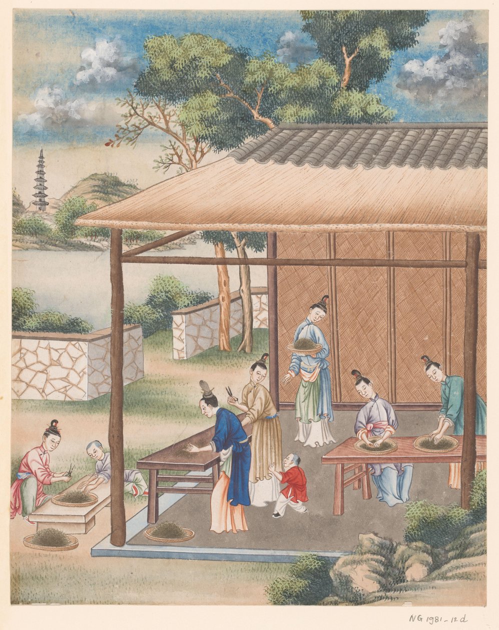 お茶の細かいカットと選別 作： 匿名