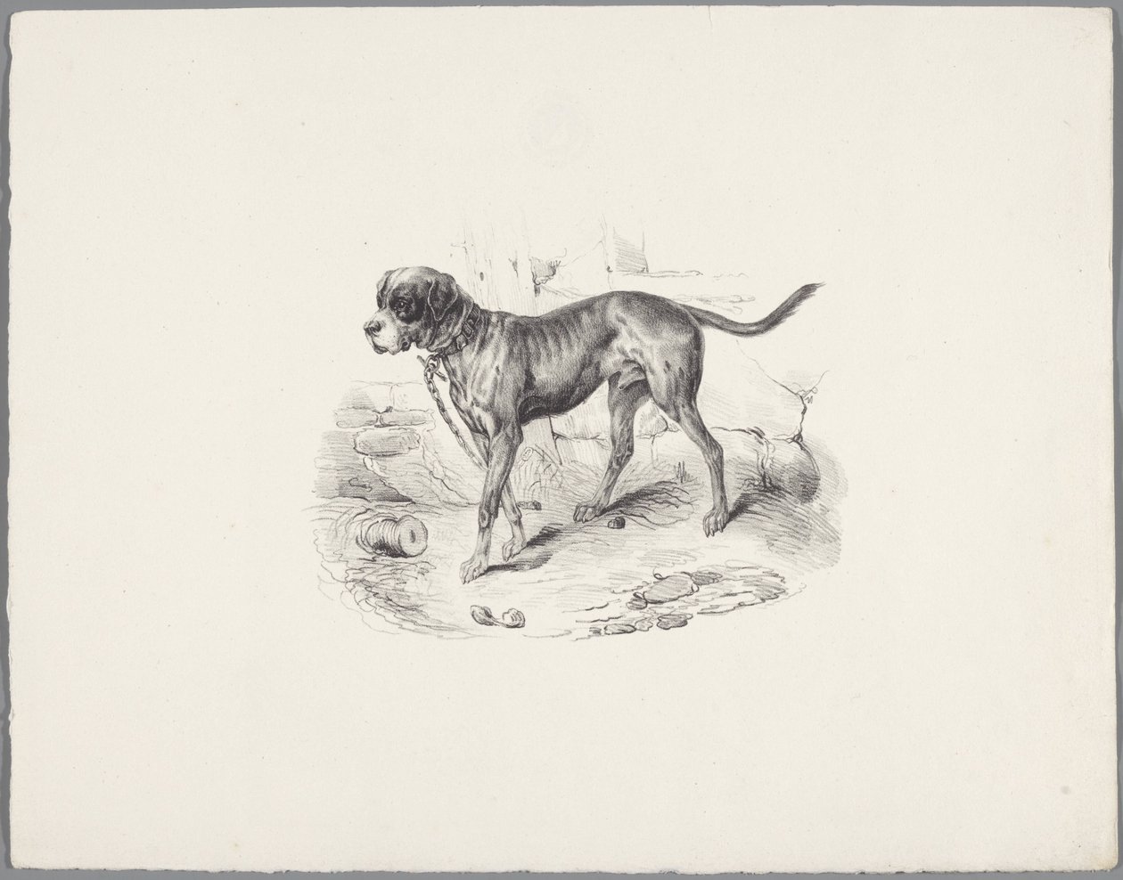 鎖につながれた犬 Six Little Animal Studies (シリーズタイトル) Six Little Beast Studies (オブジェクトに関するシリーズ タイトル) 作： 匿名