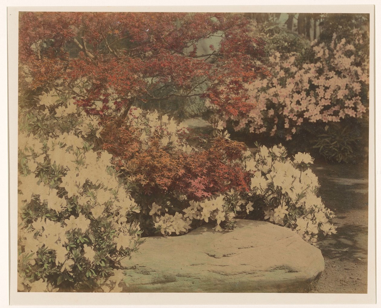 花のある日本庭園 作： 匿名