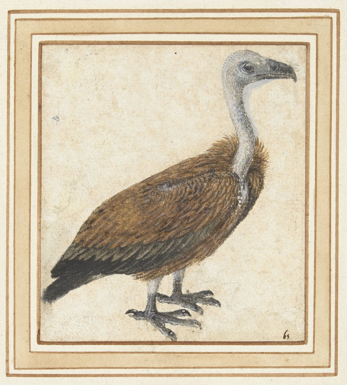 Jonge vale gier (黄色のジプ) 作： 匿名