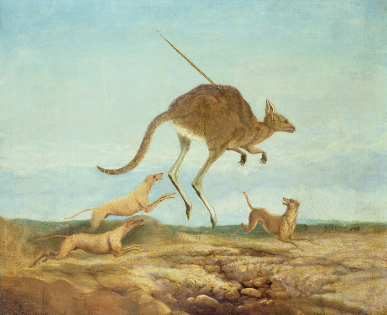 カンガルー狩り | 匿名 | アートプリント