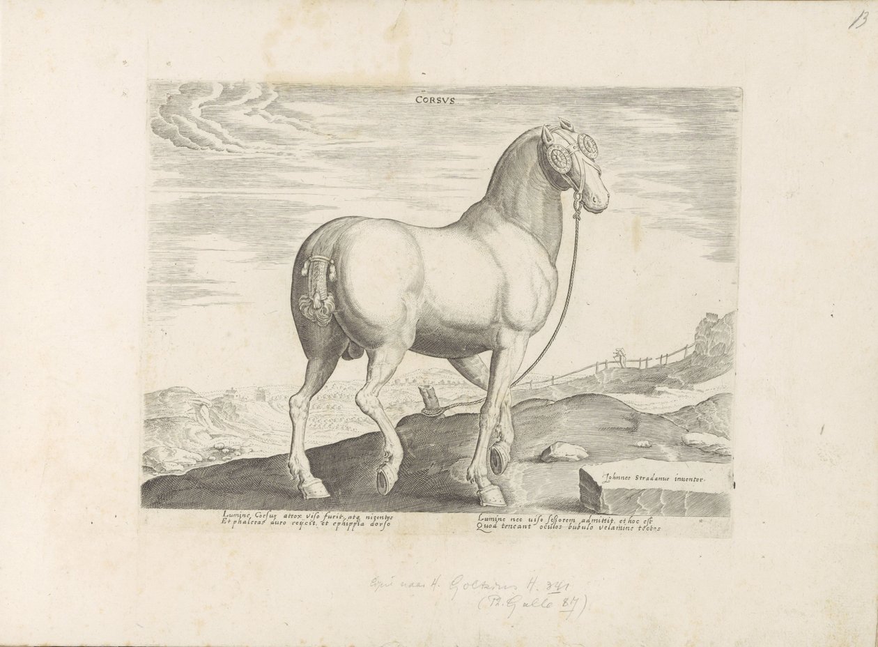 コルシカ島の馬 ハート (オブジェクトのタイトル) Paardenrassen uit de Koninklijke Stalen van Don Juan van Oostenrijk (シリーズ タイトル) ありとあらゆる貴族が乗った馬 世界各地で際立った馬の行動が選ばれました (...) (objeのシリーズタイトル 作： 匿名