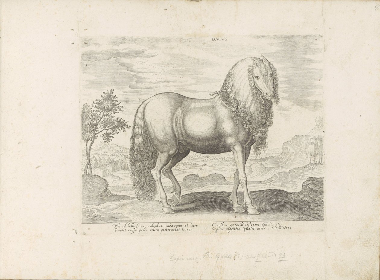 Paard uit Roemenië (オランダ語) Dacus (オブジェクトのタイトル) Paardenrassen uit de Koninklijke Stalen van Don Juan van Oostenrijk (シリーズ タイトル) ありとあらゆる貴族が乗った馬 世界各地の選りすぐりの馬のふるまい（・・・）（連載タイトル） 作： 匿名