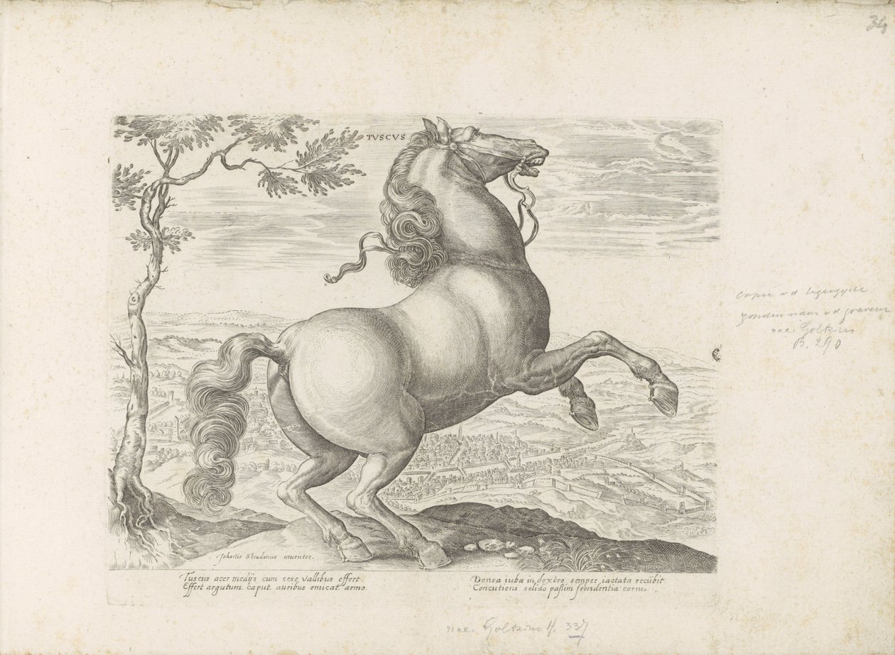 Paard uit Toscane トスカーナ (オブジェクトのタイトル) あらゆる種類の貴族が乗った馬：世界のさまざまな地域で区別された馬の行動が選択された（...）（オブジェクトに関するシリーズタイトル） 作： 匿名