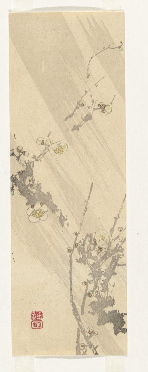 梅の花 作： 匿名