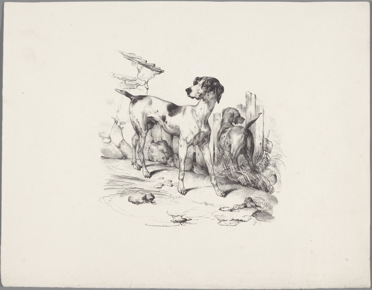 フェンスで 2 匹の犬 Six Little Animal Studies (シリーズタイトル) Six Little Beast Studies (オブジェクトに関するシリーズ タイトル) 作： 匿名