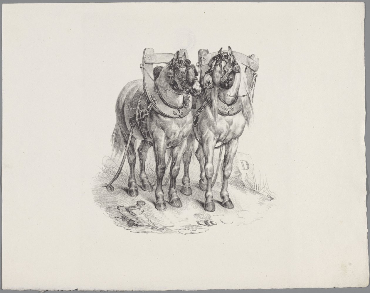 ハーネスを付けられた 2 頭の馬 Six Little Animal Studies (シリーズタイトル) Six Little Beast Studies (オブジェクトに関するシリーズ タイトル) 作： 匿名