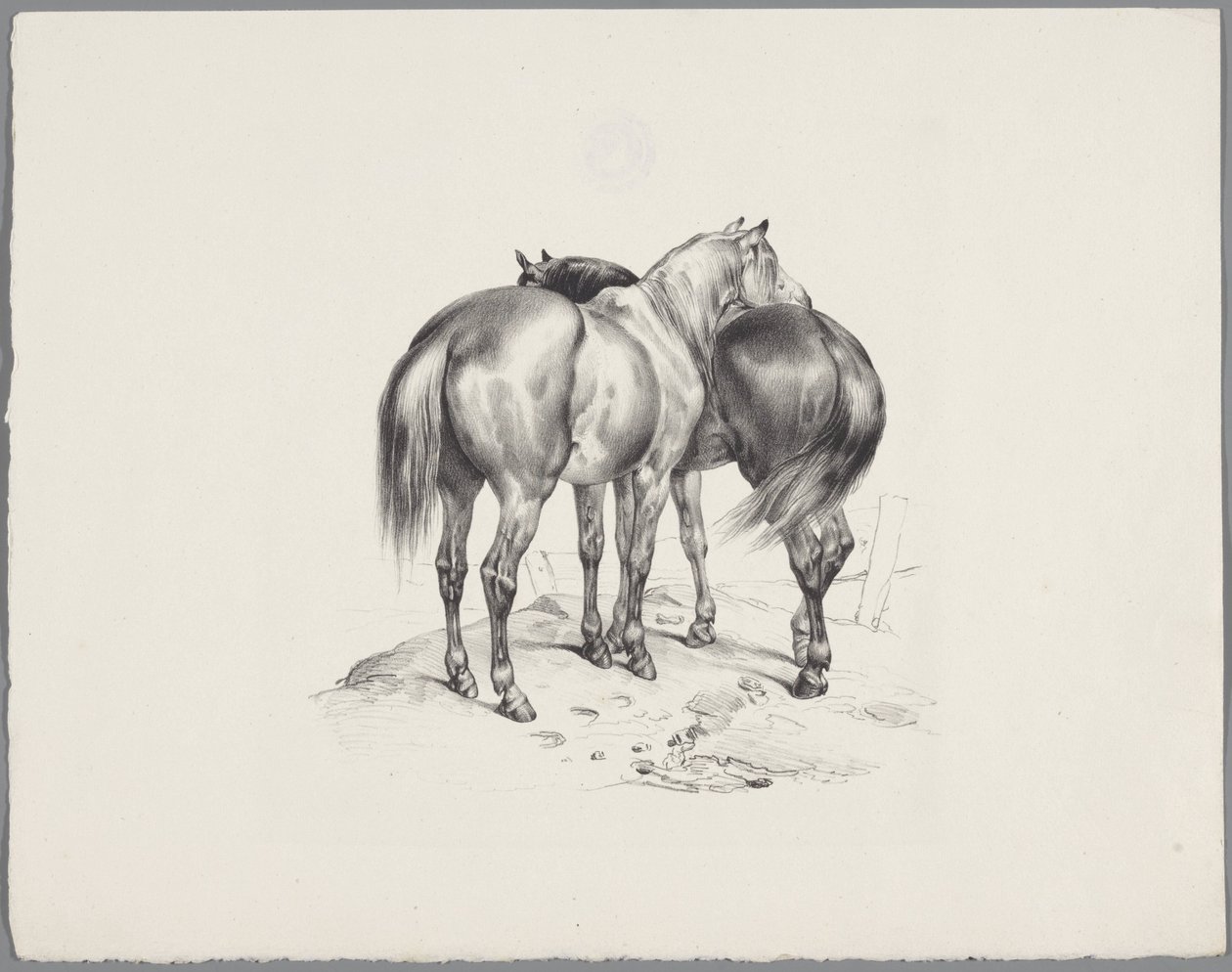 後ろから見た2頭の馬 Six Little Animal Studies (シリーズタイトル) Six Little Beast Studies (オブジェクトに関するシリーズ タイトル) 作： 匿名