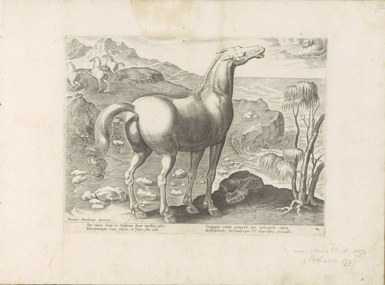 Zephyrus bevrucht een merrie Paardenrassen uit de Koninklijke Stalen van Don Juan van Oostenrijk (シリーズ タイトル) あらゆる種類の貴族が乗った馬：世界のさまざまな地域で区別された馬の行動が選択された（...）（オブジェクトに関するシリーズタイトル） 作： 匿名