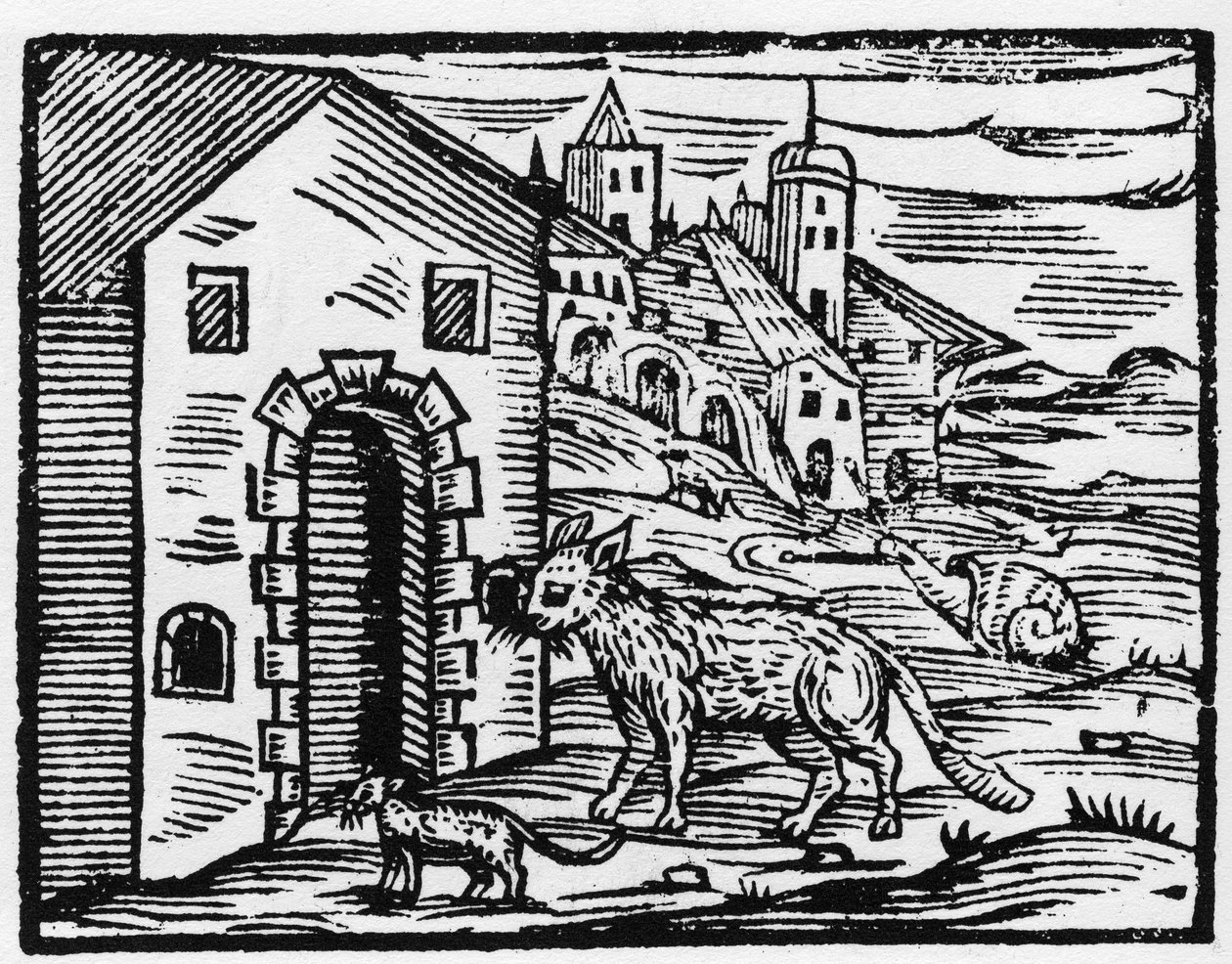 悪魔と魔女が狼と猫に変身 - 魔女の悪とその救済について書かれた「Compendium Maleficarum」 フランチェスコ・マリア・グアッツォ（Guaccio or Guaccius） (15-16) 1608年 個人蔵 作： 匿名匿名