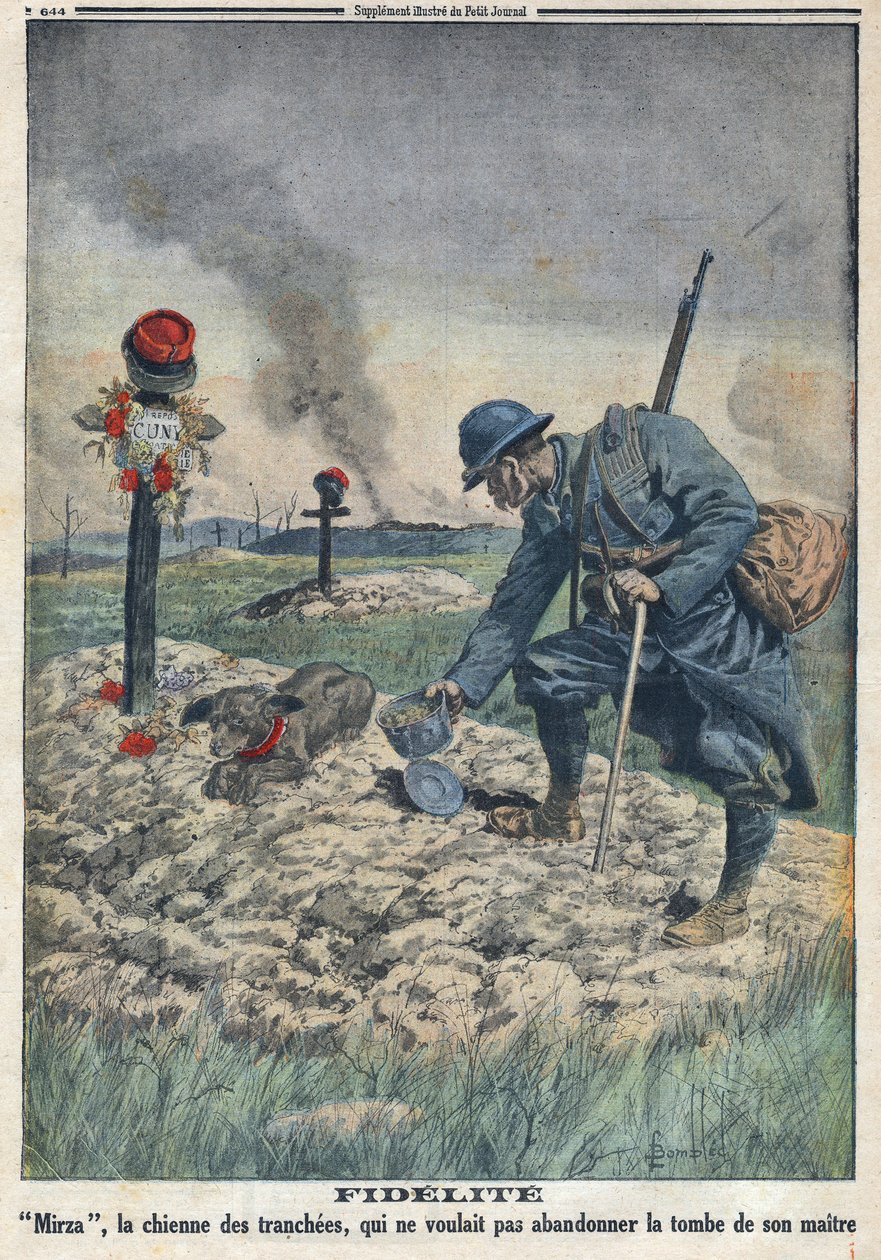 第一次世界大戦1914-1918（第14次世界大戦-第18次世界大戦）。塹壕の中で死んだ主人の墓を捨てようとしない犬の姿。Le Petite Journal", on 10/09/1916に掲載。個人蔵 作： 匿名匿名