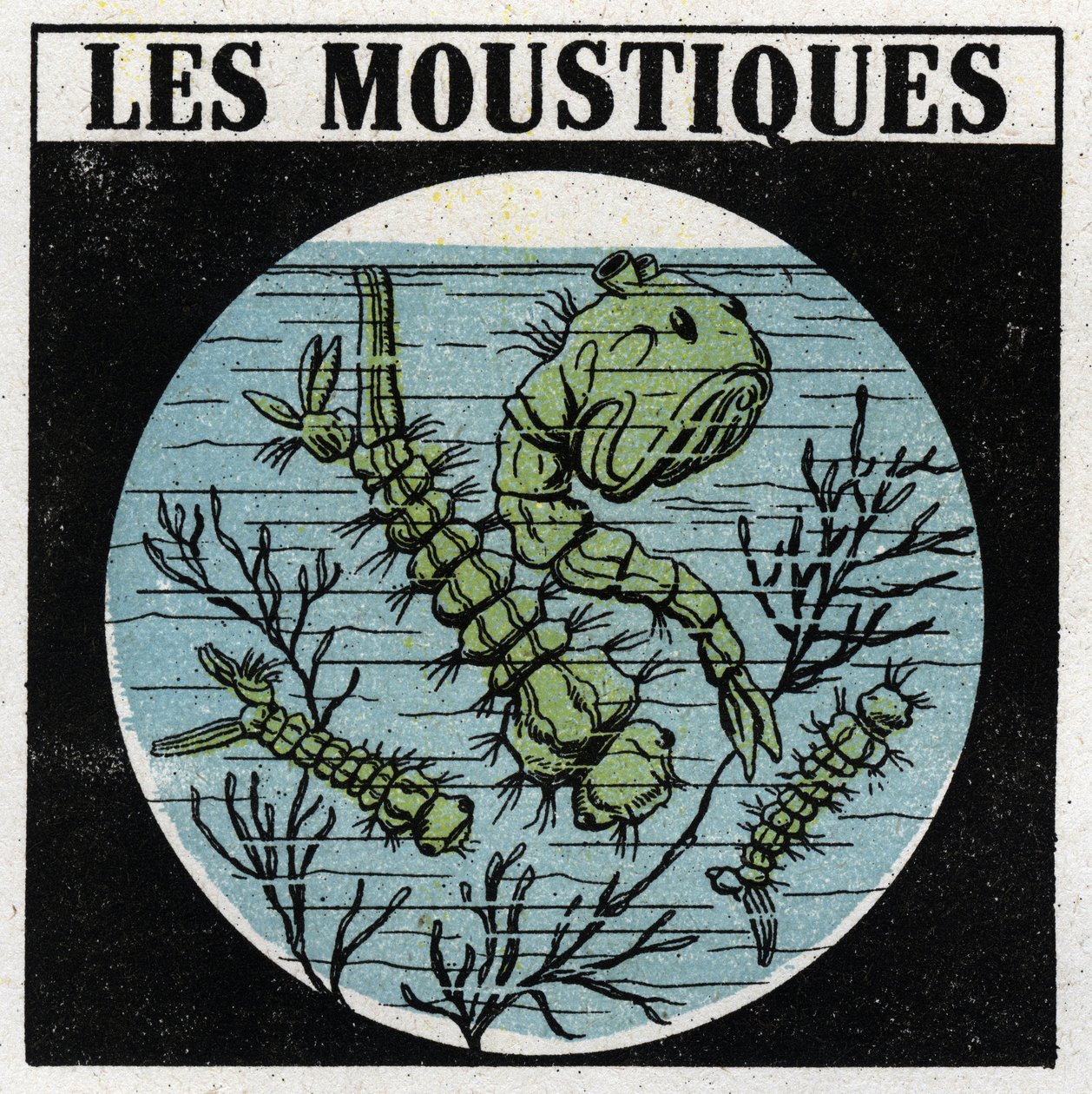 光の投影：蚊の幼虫を観察するための投影用ランタンの使用。1925年の匿名のイラスト。個人蔵。 作： 匿名匿名