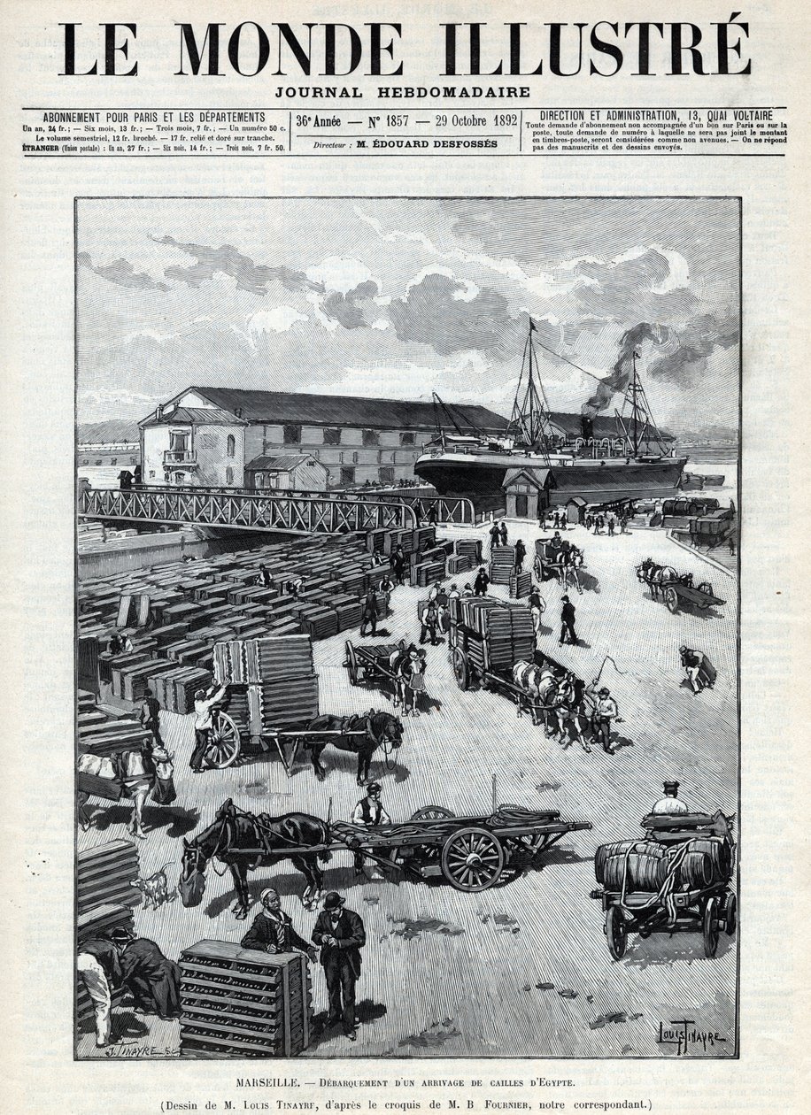 海上貿易：マルセイユ港にエジプトからウズラが到着したことを吠える。新聞。1892年の "Le monde illustree "に掲載されたエングレーヴィング。個人蔵。 作： 匿名匿名