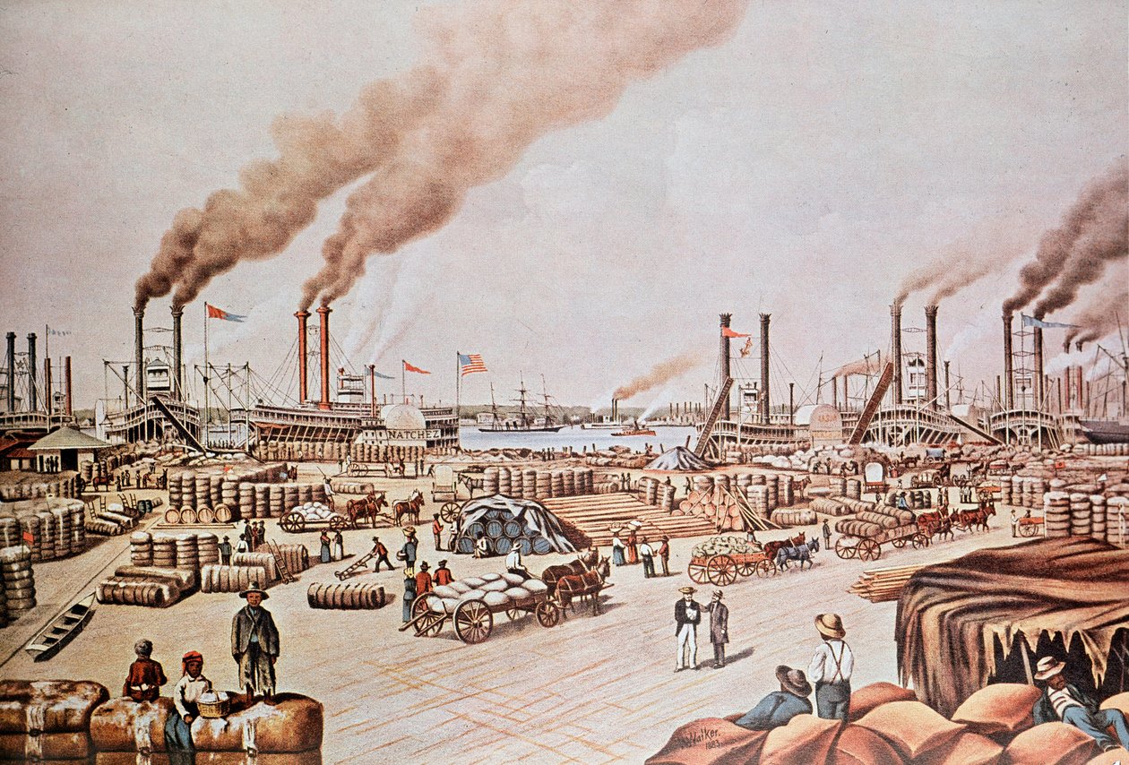 ニューオリンズ・ハーバー・ワーフ（アメリカ）。綿の積み込み。1876.個人蔵。 作： 匿名匿名