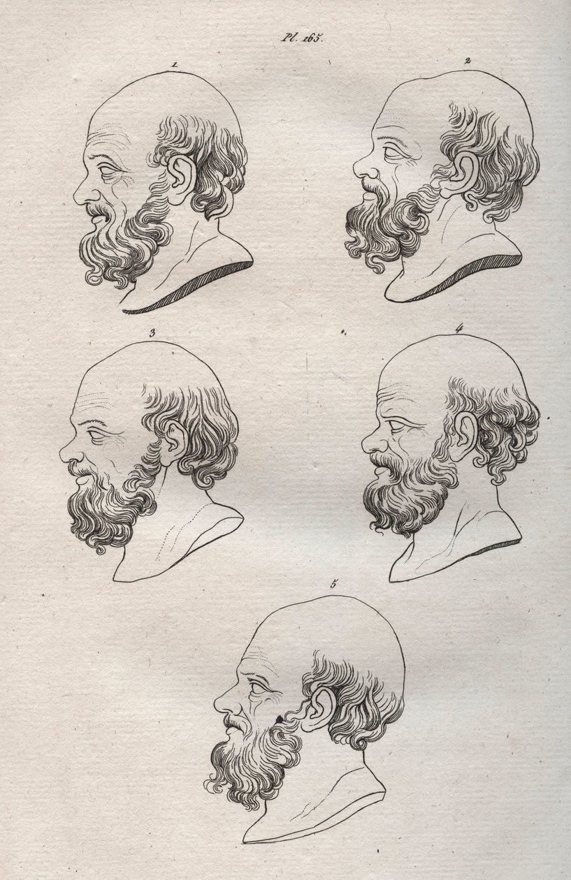 Physiognomie - Mehrere Köpfe des griechischen Philosophen Sokrates (ca. 469 v. Chr.-399 v. Chr.), Gravur von 1808 in „Die Kunst, Menschen durch Physiognomie zu erkennen“ von Johann Gaspar Lavater von Anonymous Anonymous