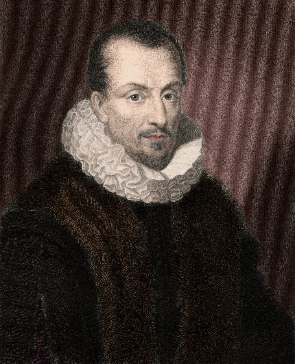 ジャック・オーギュスト（Jacques-Auguste）の肖像をトゥー（Thuanus）（1553-1617）が描いたもので、フランスの歴史家、書籍収集家、パリ高等法院の議長を務めた。 作： 匿名匿名