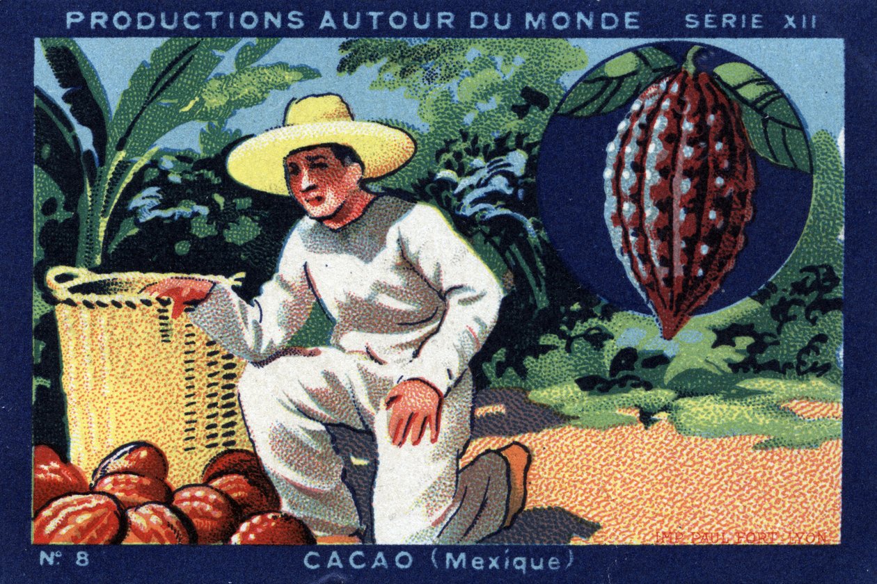 世界のプロダクション。メキシコのココア。"Joseph-Milliat Album "の1933年のクロモリ写真 作： 匿名匿名