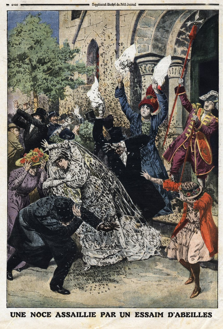 結婚式は蜂の大群に襲われた。1912年7月28日、"Le Petite Journal "に掲載されたエングレーヴィング。個人蔵。 作： 匿名匿名