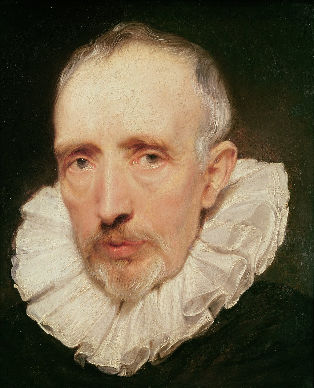 Cornelis van der Geestの肖像、1620年頃（オークに油彩） 作： アンソニー・ヴァン・ダイク