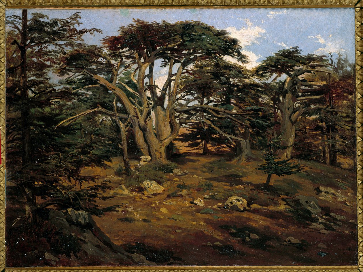 Les vieux cedres sur le Mont Liban a Boumana Antoine Alphonse Montfort (1802-1884) 画 19世紀 日 0,32x0,44 m Paris, musee d