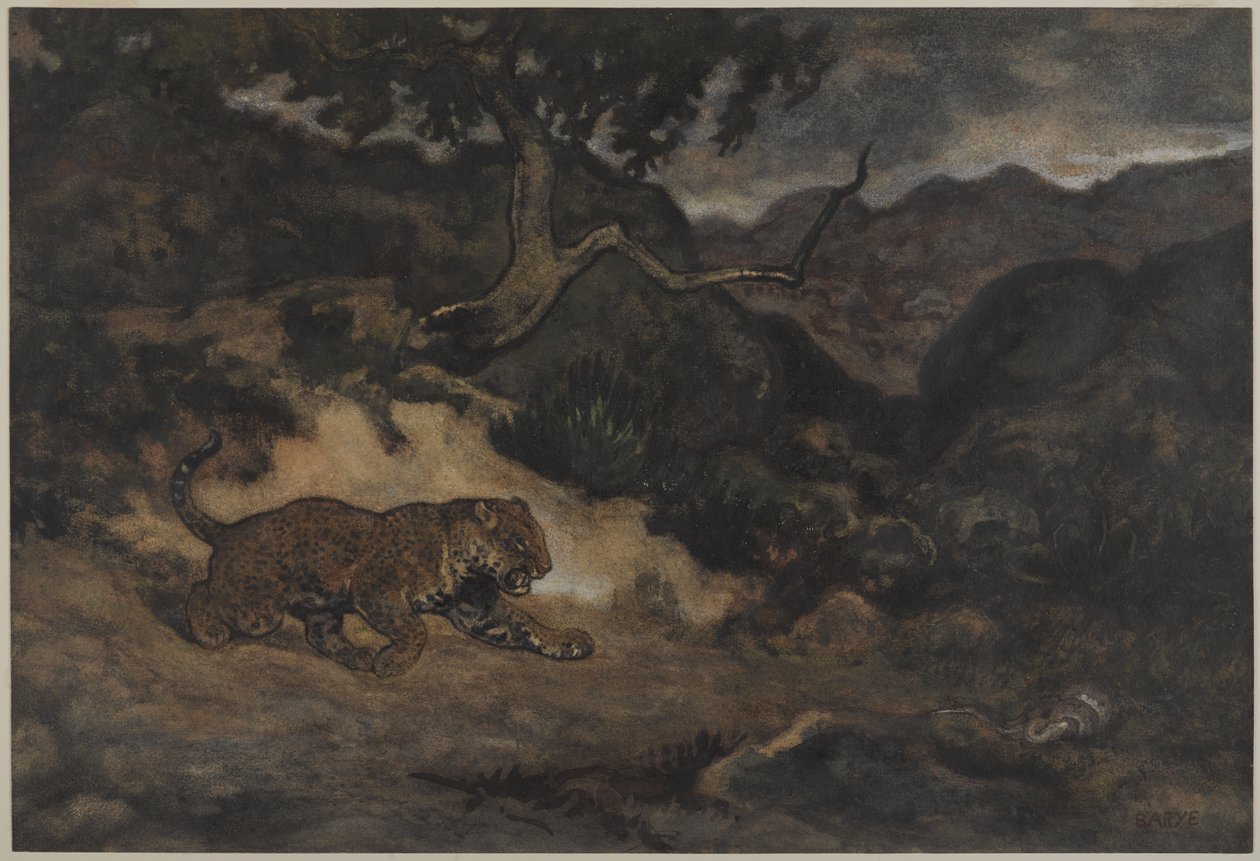 ジャガーヘビの発見、1840年頃（紙にトイレ） 作： アントワーヌルイバリー