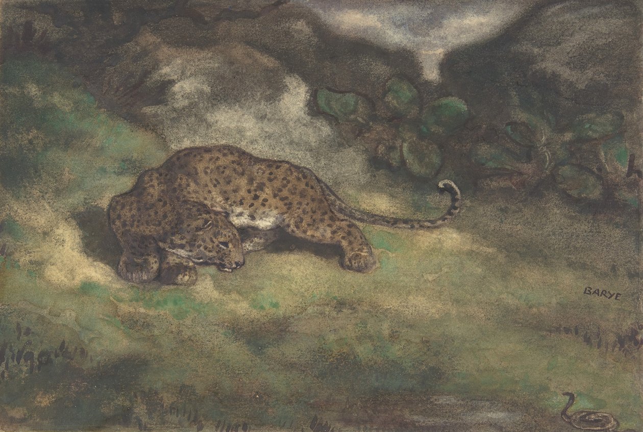 ヒョウのアンティーク絵 ヒョウと蛇、1810-75。 | アートプリント