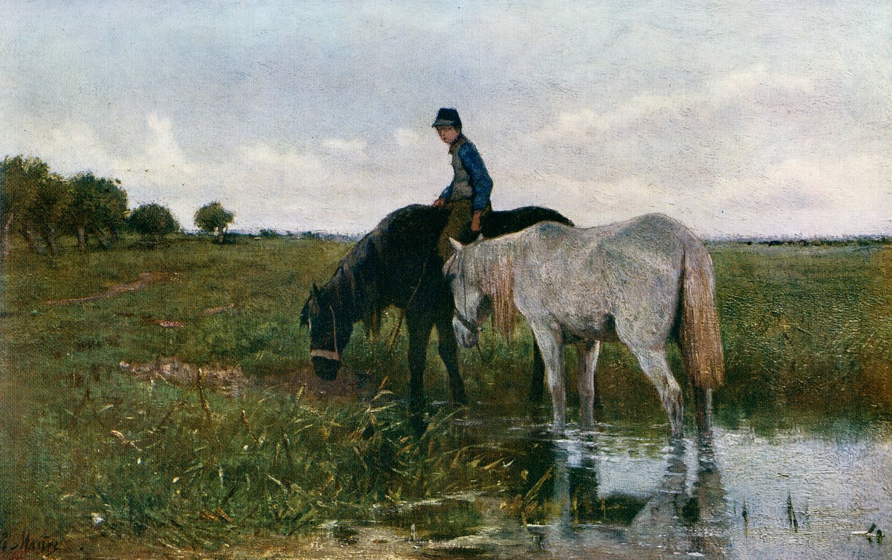 散水馬、1871年、1912年。 作： アントン・モーブ