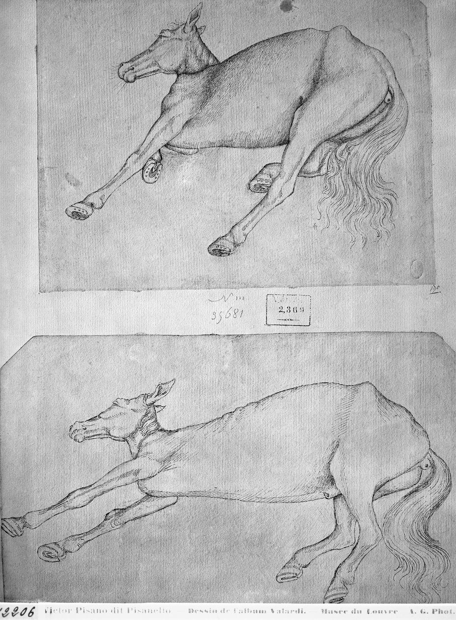 バジャルディアルバムの死んだ馬 作： アントニオ・ピサネッロ