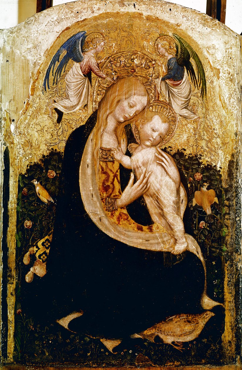 ピサネッロ（アントニオ・ピサーノ）（1380年頃～1455年頃）の「ウズラを持つ聖母」木版画。1420年頃 薄さ50x33cm Verone, Museo di Castevecchio - Antonio Pisano a.k.a Pisanello (1380-1455)作 「ウズラを抱く聖母」 木にテンペラ 50x33cm 作： アントニオ・ピサネッロ