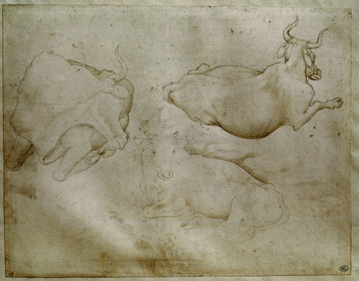 二頭の牛と一本のジュニパー。Antonio di Puccio Pisano dit Pisanello (1395-1455)によるドローイング。スクロール、金属製チップ。高さ17.6cm。ルーヴル美術館、メダイユ・キャビネット 作： アントニオ・ピサネッロ