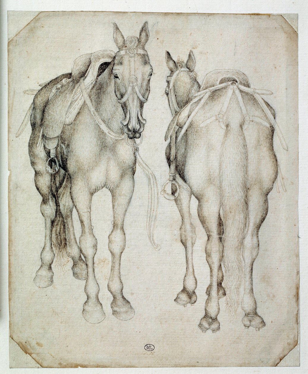 2つの馬具を4分の3ずつ、1つは前から、もう1つは後ろから見ています
