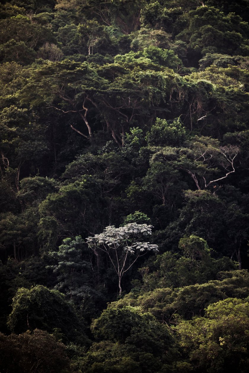  作： アントニオ・シューベルト