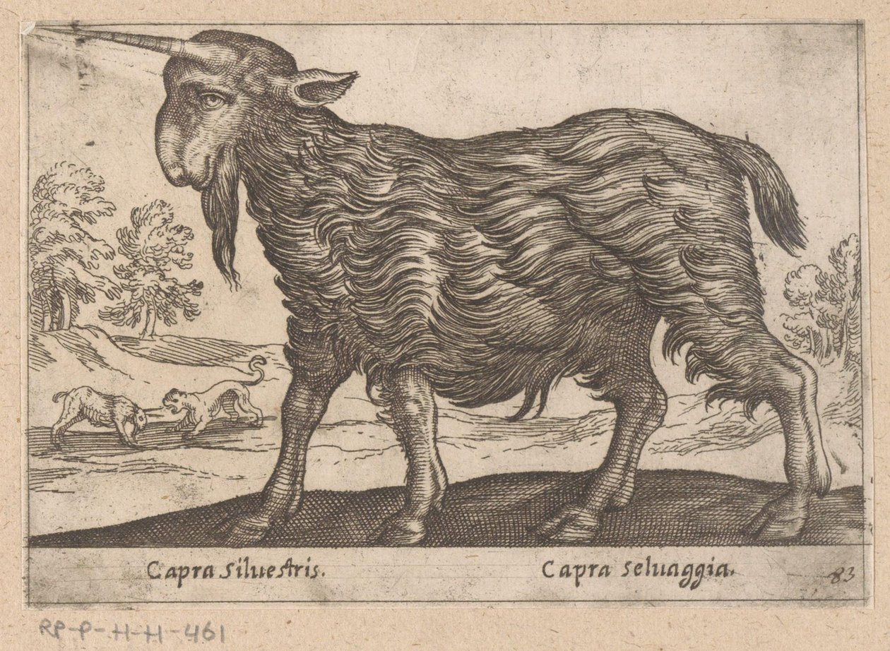 1 つの角を持つヤギ Capra Silvestris/ Capra Selvaggia (オブジェクトのタイトル) Dieren en fablewezens (シリーズのタイトル) 世界で最も好奇心旺盛な動物の新しいコレクション (シリーズ タイトル) 作： アントニオ・テンペスタ