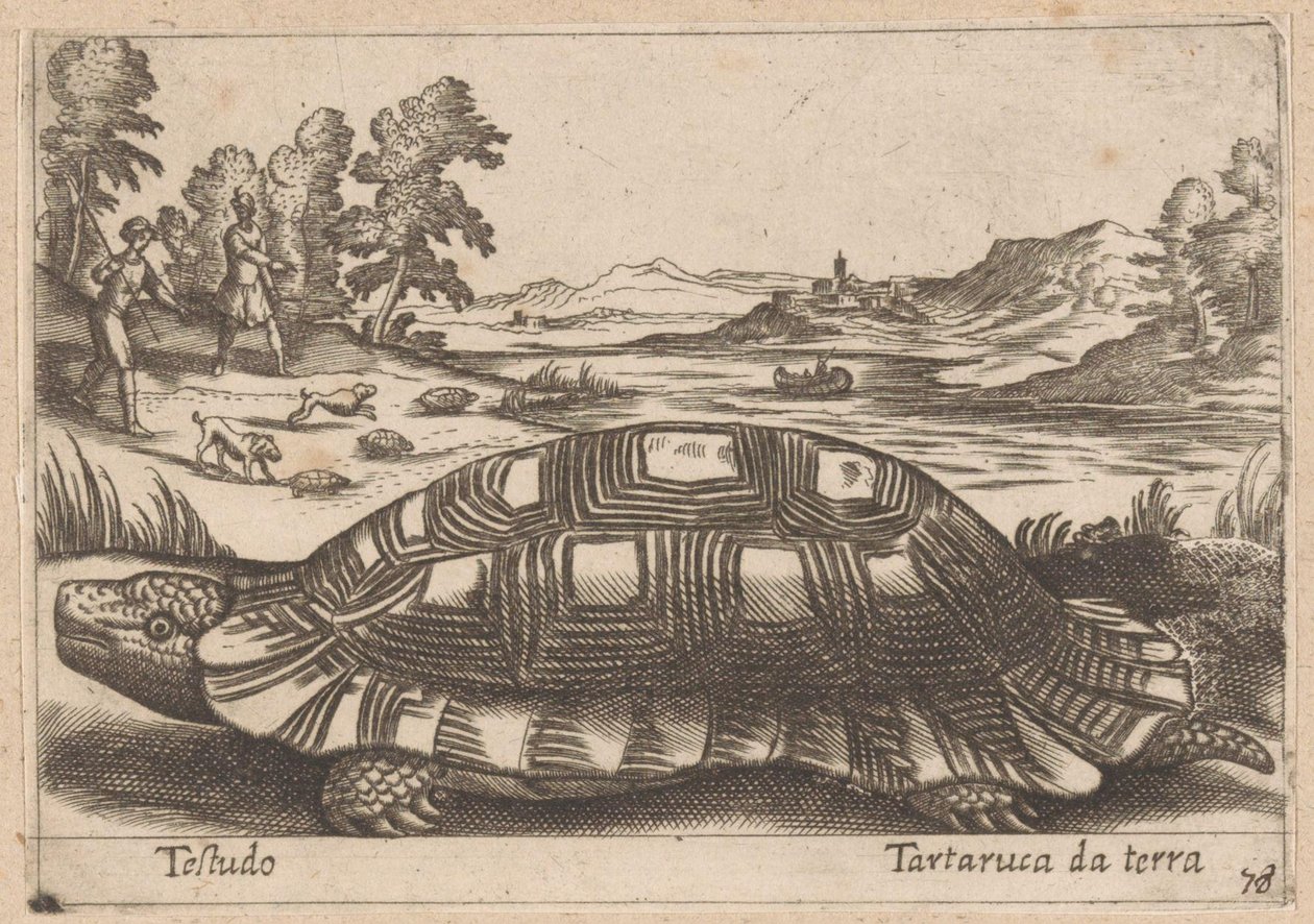 Landschildpad Testudo/ 地上亀 (オブジェクトのタイトル) Dieren en fabelwezens (シリーズタイトル) 世界で最も好奇心旺盛な動物の新しいコレクション (シリーズ タイトル) 作： アントニオ・テンペスタ