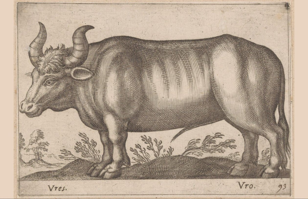ラウンド Vres/ Vro (オブジェクトのタイトル) 動物と幻の生き物（シリーズタイトル） Nova raccolta de li animali piu curiosi del mondo (シリーズタイトル) 作： アントニオ・テンペスタ